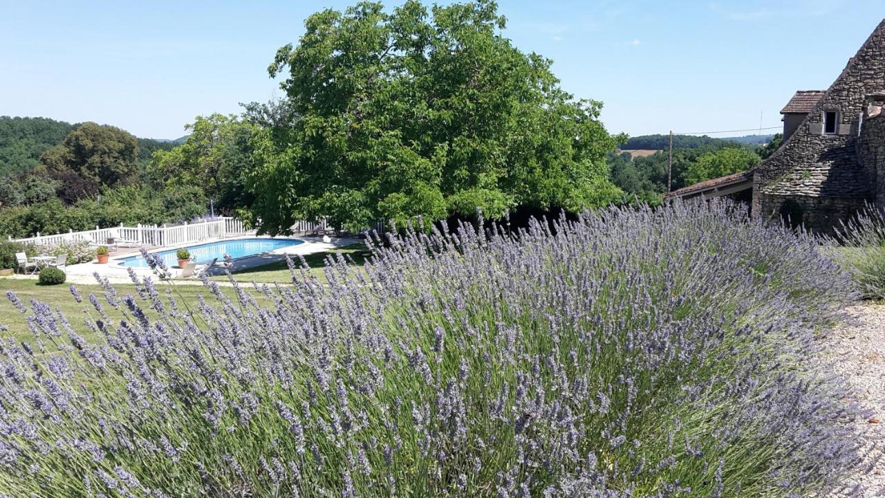 Le Clos-Lascazes Maison D'Hotes Le Buisson-de-Cadouin Eksteriør billede